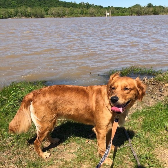 Meet your seller/buyer! - Picture 9 of 9